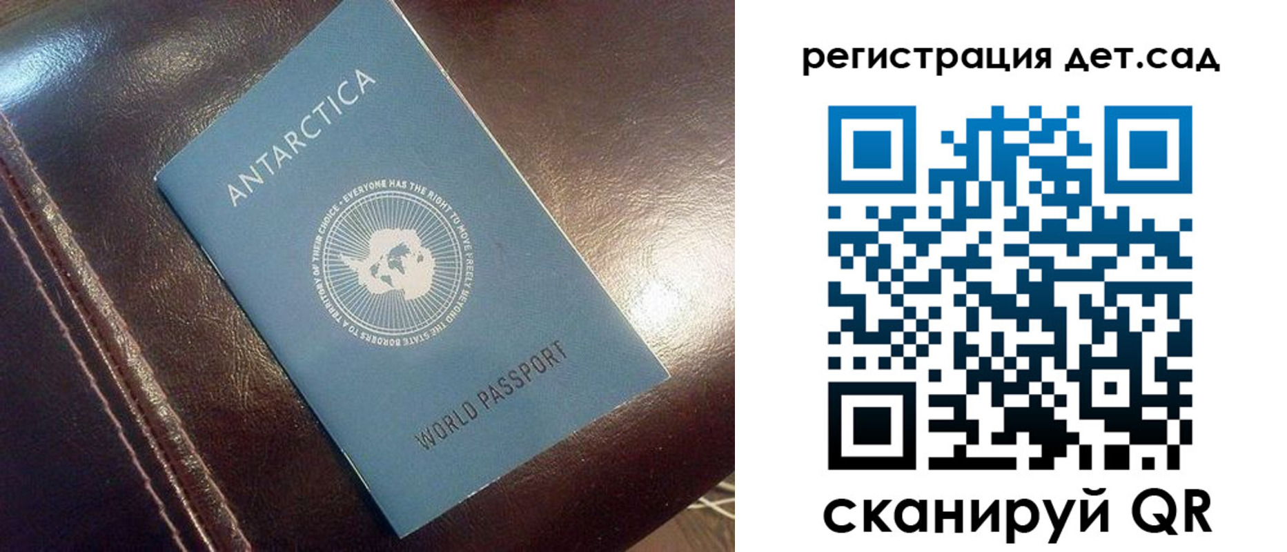 прописка штамп в Гвардейске